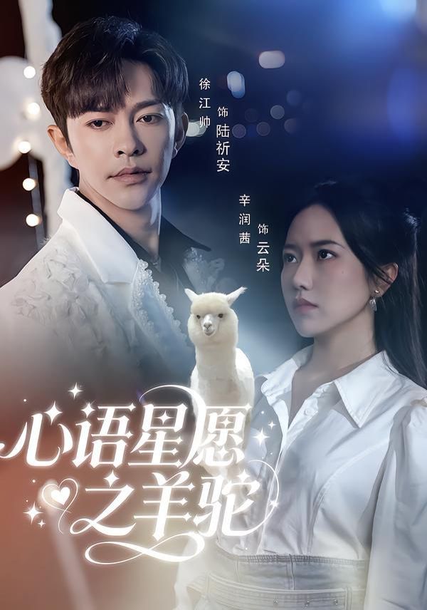 心语星愿之羊驼